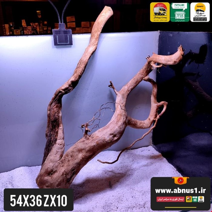ریشه آبنوس 54 سانت کد zx10