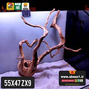 ریشه آبنوس 55 سانت کد zx9