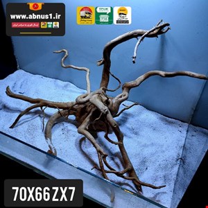 ریشه آبنوس 70 سانت کد zx7