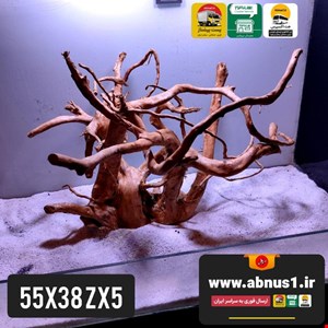 ریشه آبنوس 55 سانت کد zx5