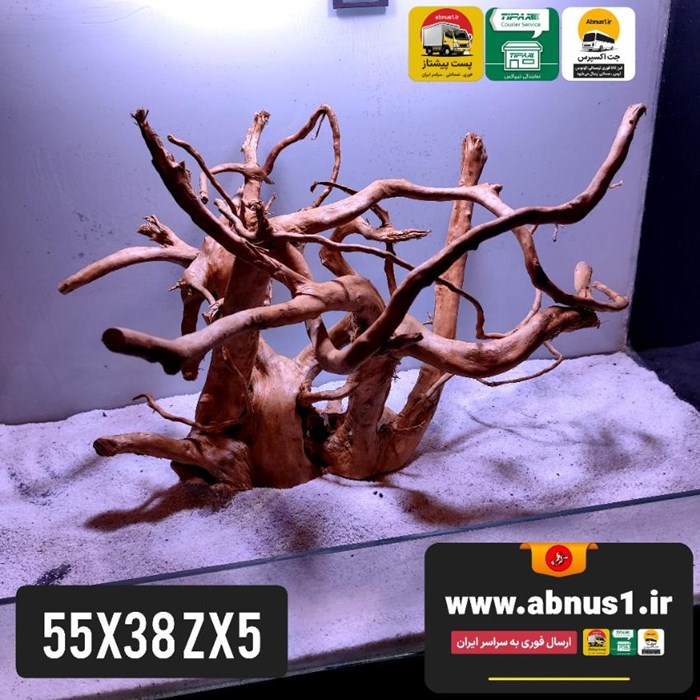 ریشه آبنوس 55 سانت کد zx5