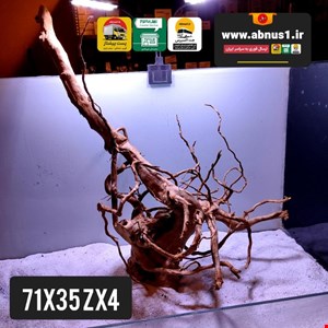ریشه آبنوس 71 سانت کد zx4