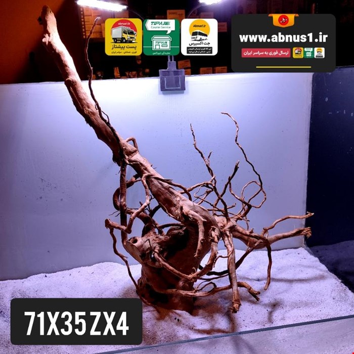 ریشه آبنوس 71 سانت کد zx4