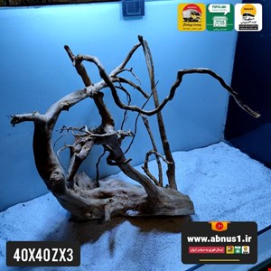 ریشه آبنوس 40 سانت کد zx3