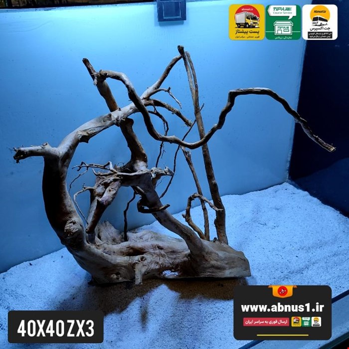 ریشه آبنوس 40 سانت کد zx3