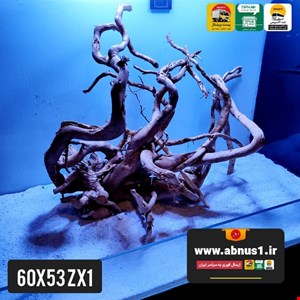 ریشه آبنوس 60 سانت کد zx1