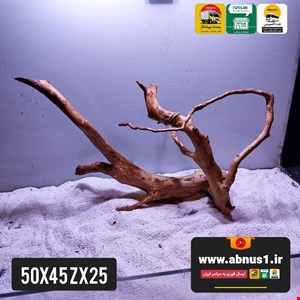 ریشه آبنوس 53 سانت کد zx25