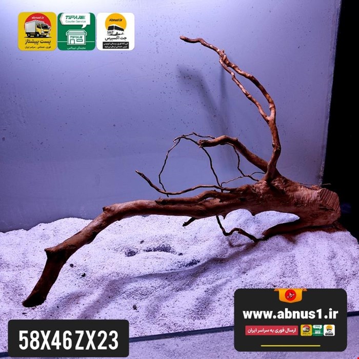 ریشه آبنوس 58 سانت کد zx23