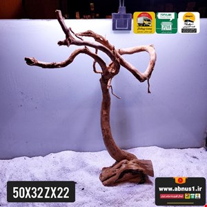 ریشه آبنوس 50 سانت کد zx22