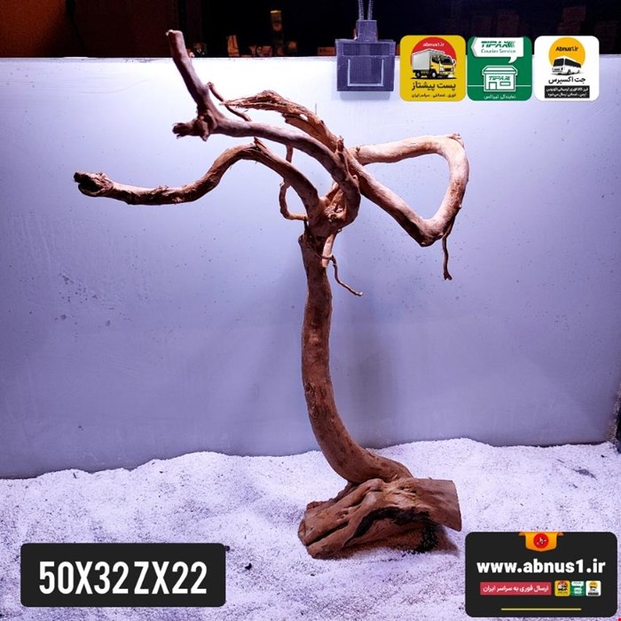 ریشه آبنوس 50 سانت کد zx22