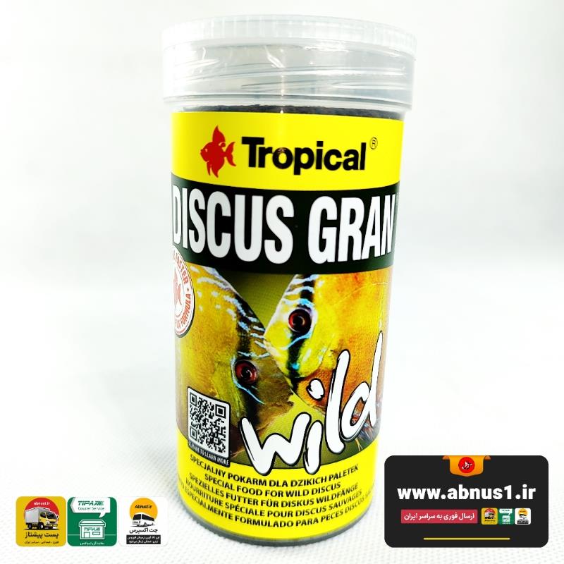 DSISCUS WILD TROPICAL 2027 SNN