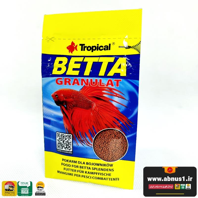 betta gra tropical 2027 SNN