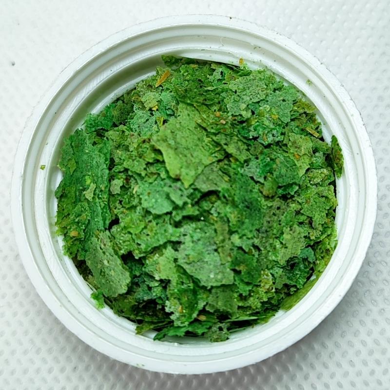 bioviva spirulina