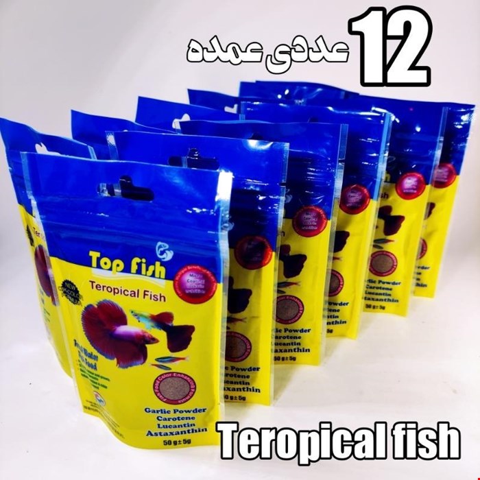 غذای تروپیکال تاپ فیش 12 عددی عمده