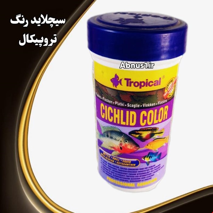 سیچلاید کلکسیونی رنگ cichlid color tropical