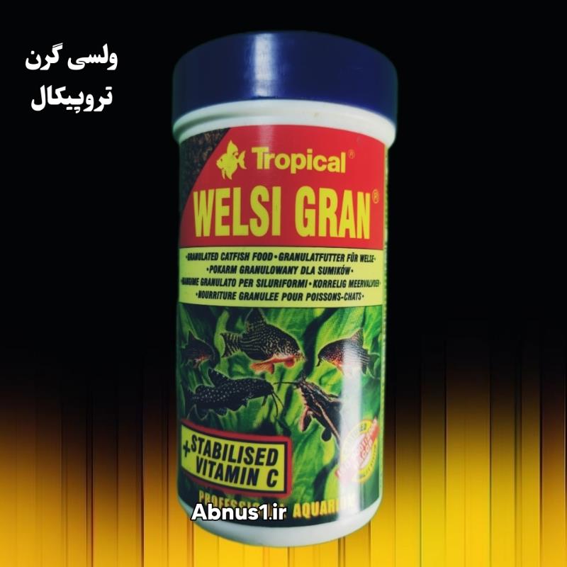 60273  TNN SRR1207060