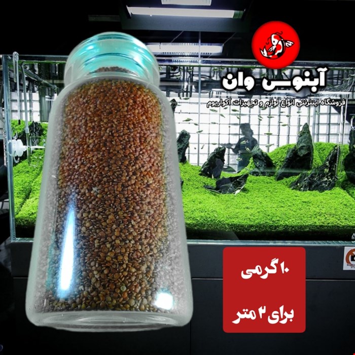 بذر چمن آکواریوم و تنگ مونت کارلو 10 گرمی برای 2 متر