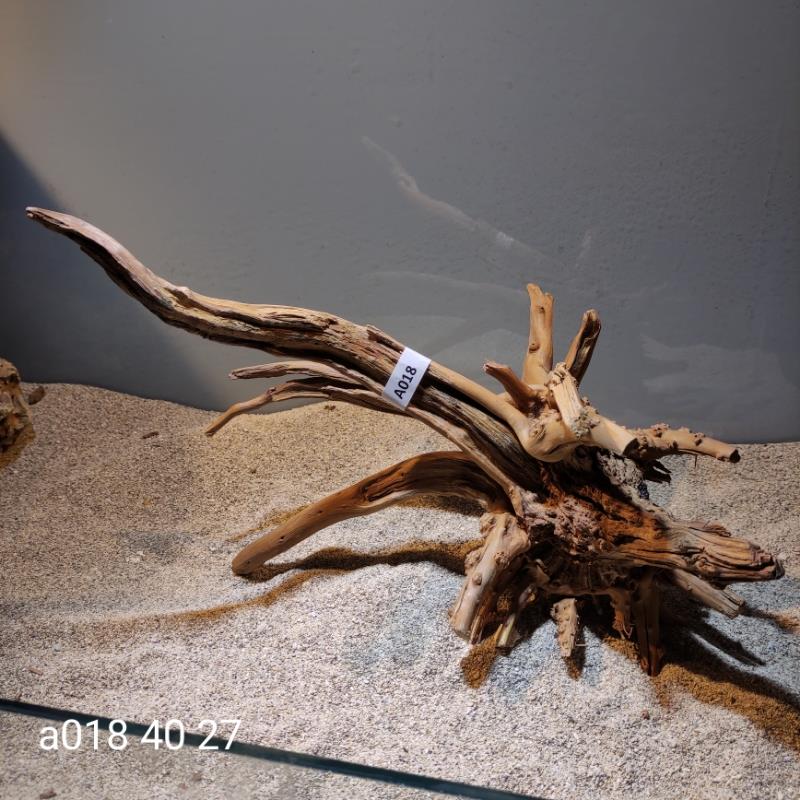 rishe abnis A rishe abnis A