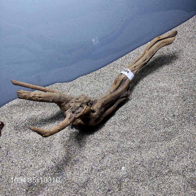 ارسال این ریشه رایگان می باشد