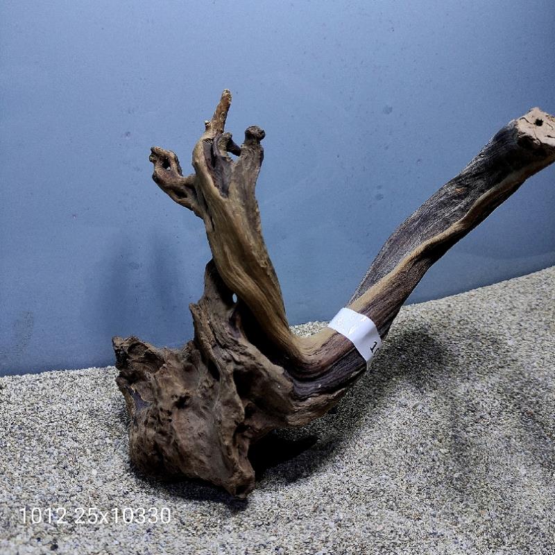 ارسال این ریشه رایگان می باشد