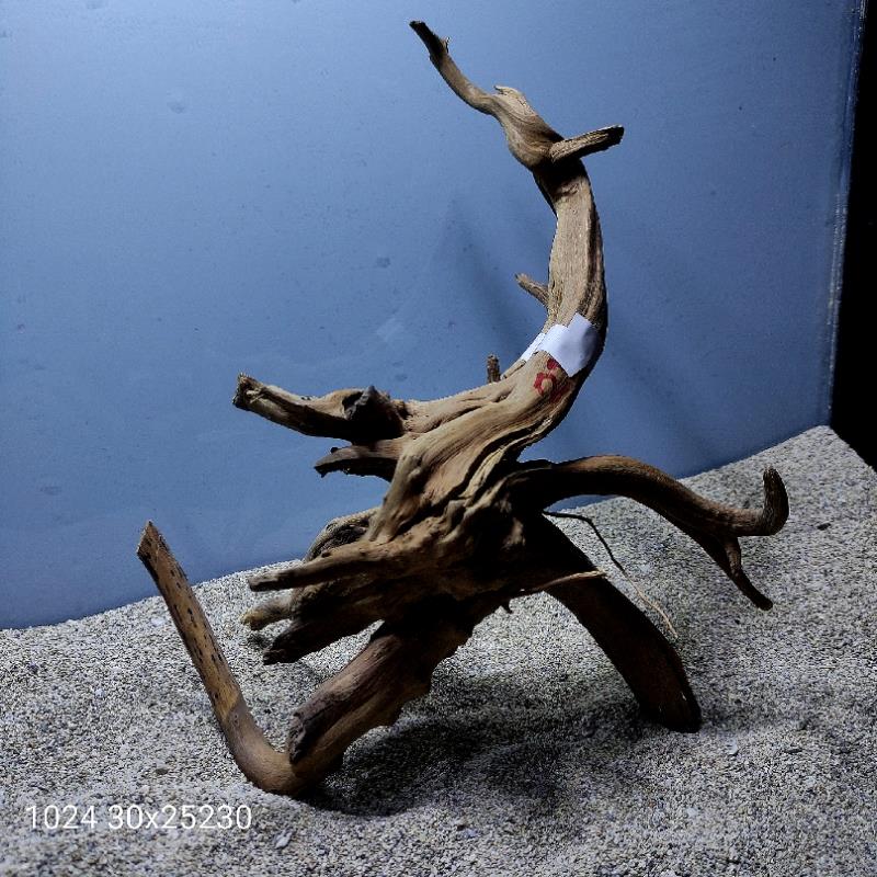 ارسال این ریشه رایگان می باشد