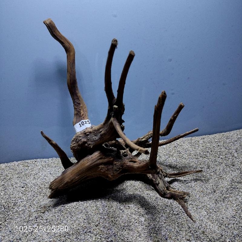 ارسال این ریشه رایگان می باشد