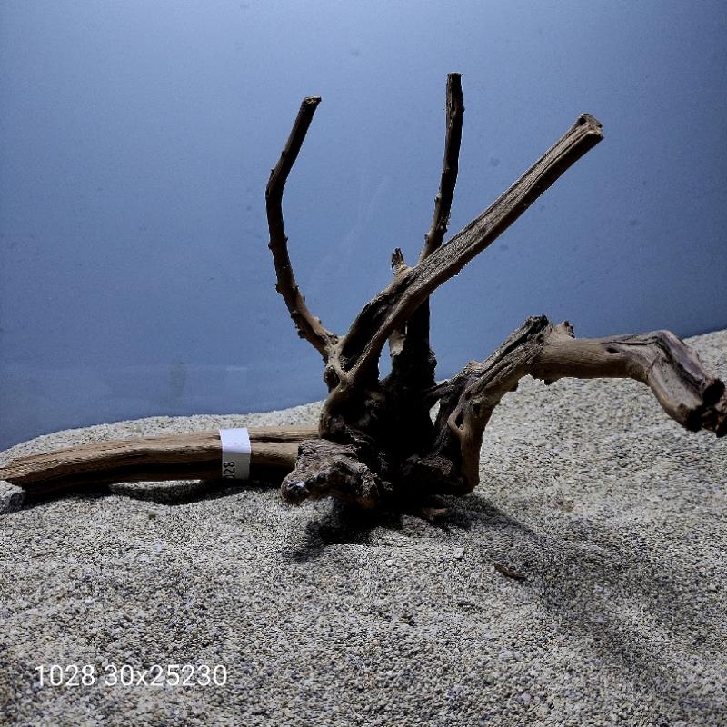 ارسال این ریشه رایگان می باشد