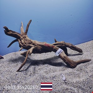 ریشه آبنوس کد1033
