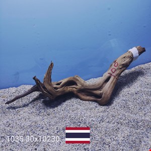 زیشه آبنوس کد1035