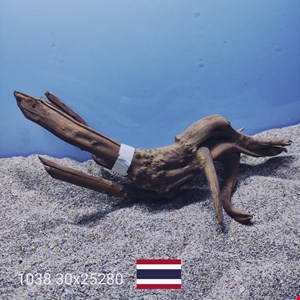 ریشه آبنوس کد1038