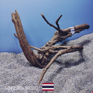 ریشه آبنوس کد1042