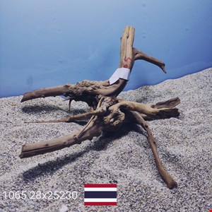 ریشه آبنوس کد1065