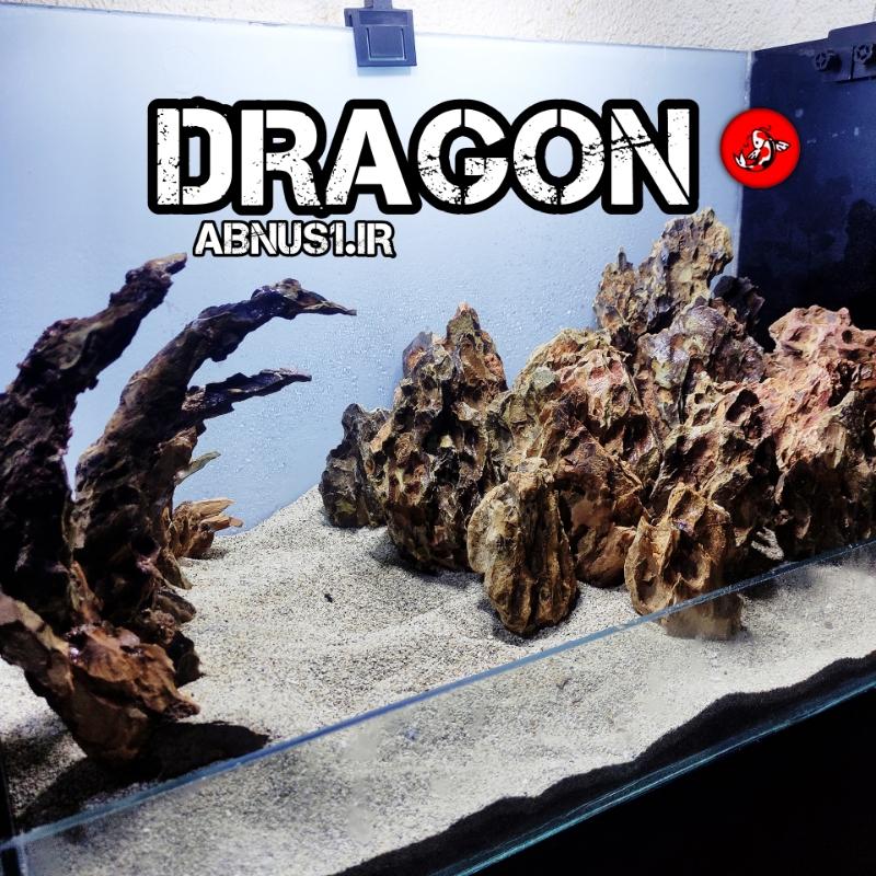 اورجینال ژاپن SNN