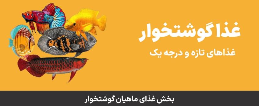 غذای ماهی گوشتخوار