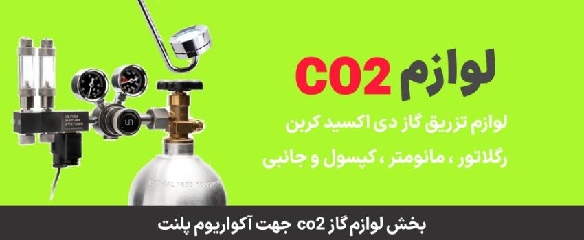 لوازم co2 دفیوز رگلاتور کپسول